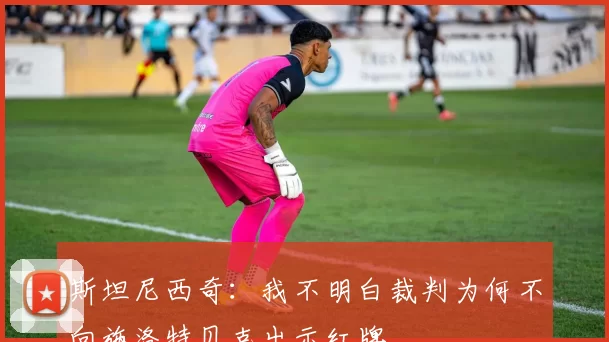 斯坦尼西奇：我不明白裁判为何不向施洛特贝克出示红牌